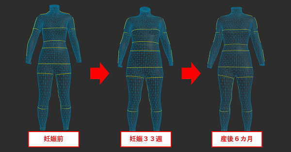 zozoスーツで前から計測した体型変化の変遷